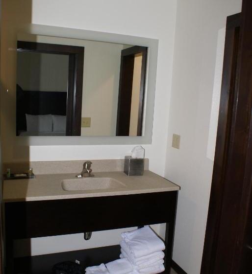 Стандартный Номер Кровать Кинг, Boarders Inn & Suites By Cobblestone Hotels   Syracuse