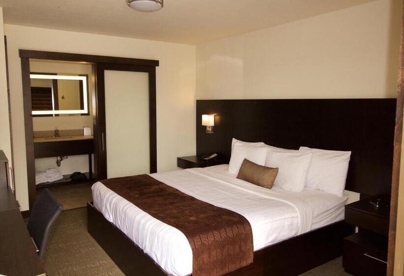 Стандартный Номер Кровать Кинг, Boarders Inn & Suites By Cobblestone Hotels   Syracuse