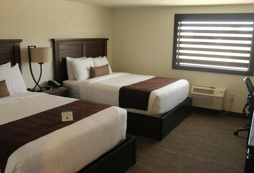 Номер Стандарт, Boarders Inn & Suites By Cobblestone Hotels   Syracuse