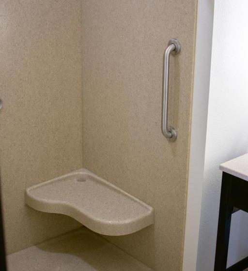 Номер Стандарт Кровать Кинг Адаптированный для Инвалидов, Boarders Inn & Suites By Cobblestone Hotels   Syracuse