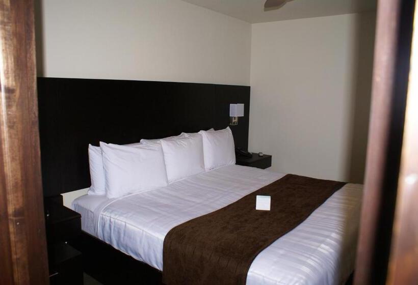 Стандартный Номер Кровать Кинг, Boarders Inn & Suites By Cobblestone Hotels   Syracuse