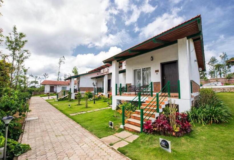 풀장 전망 디럭스 룸, Eka Resort