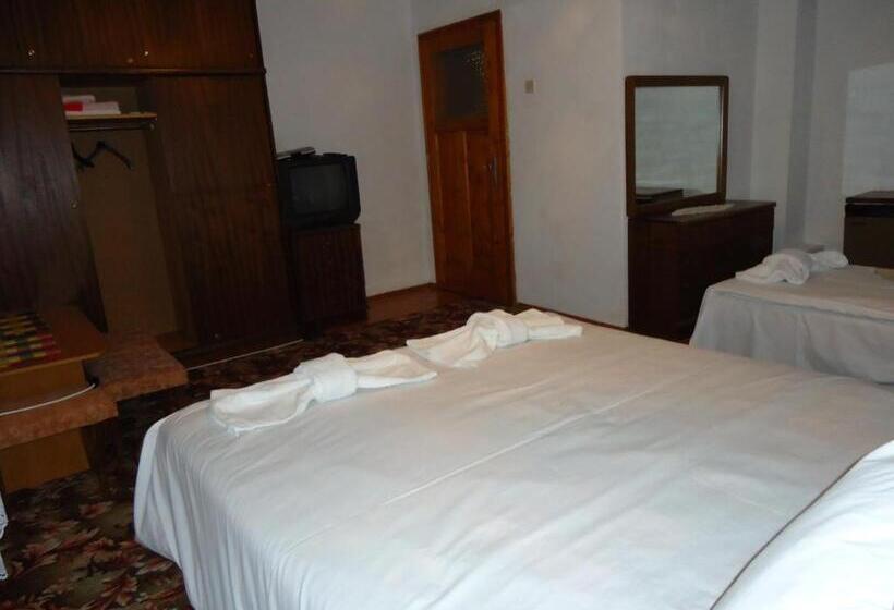 Номер Стандарт Трехместный, Guest House Ahp