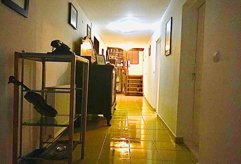 اتاق لوکس با بالکن, Pensiunea Deceneu