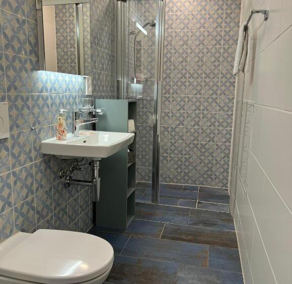 Апартаменты 1 Спальня, Smartroom Hotel Rössli Hunzenschwil