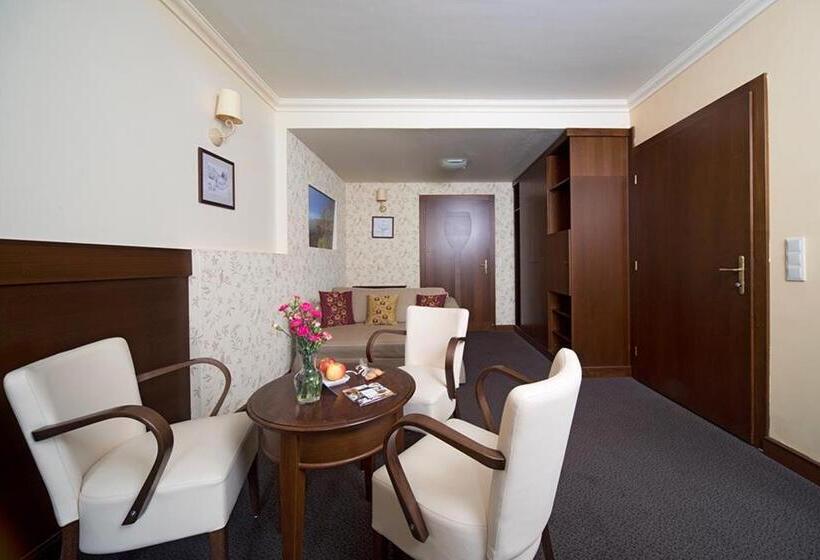 Номер Стандарт Адаптированный для Инвалидов, Barka Galéria Hotel és étterem