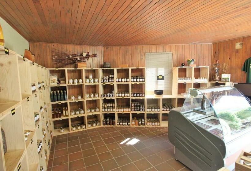 Номер Стандарт Трехместный, Acropole Asco