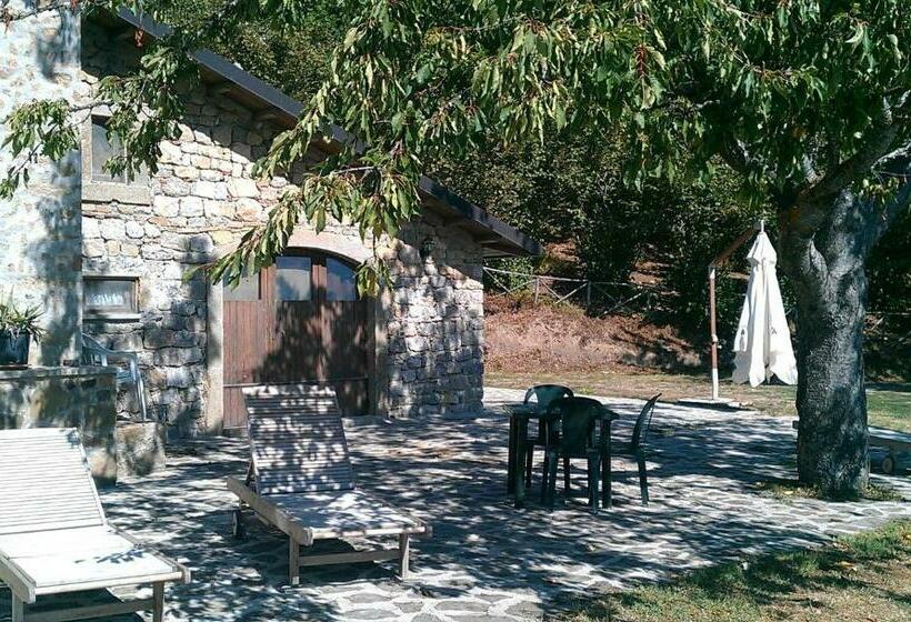 스탠다드 스튜디오, Agriturismo Il Vignale