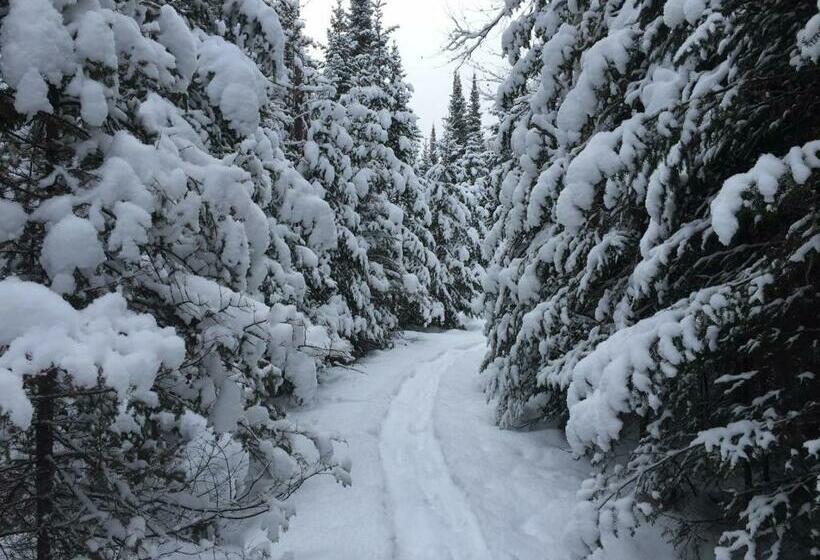 스탠다드 룸 킹사이즈 침대, Lodge Nature Laurentides