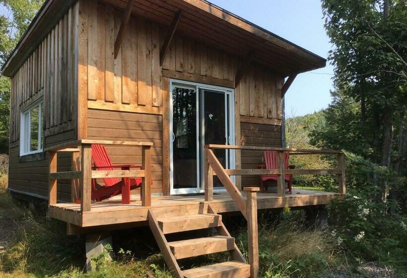 스탠다드 룸 산 전망, Lodge Nature Laurentides
