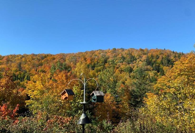 Стандартный Номер Кровать Кинг, Lodge Nature Laurentides