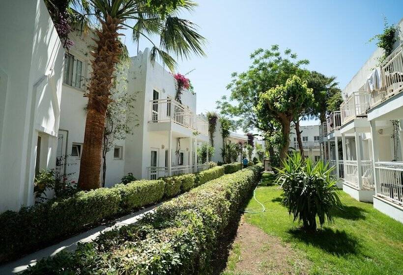 Семейный Номер, Petunya Beach Resort
