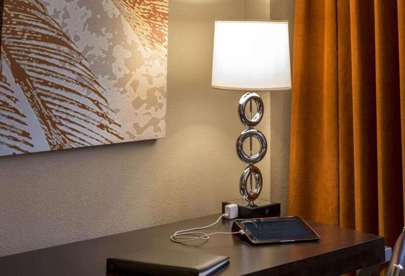 Quarto deluxe, Sonesta Miami Airport