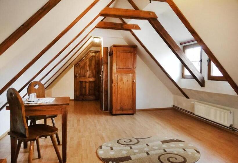 اتاق پنت هاوس, Pensiunea Casa Sighisoreana