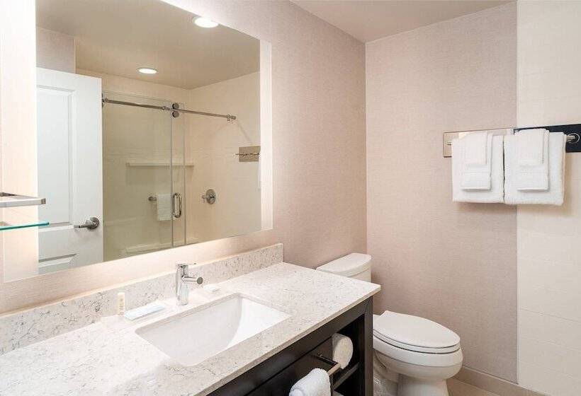 스탠다드 스튜디오 더블 침대, Residence Inn By Marriott Grand Rapids Downtown