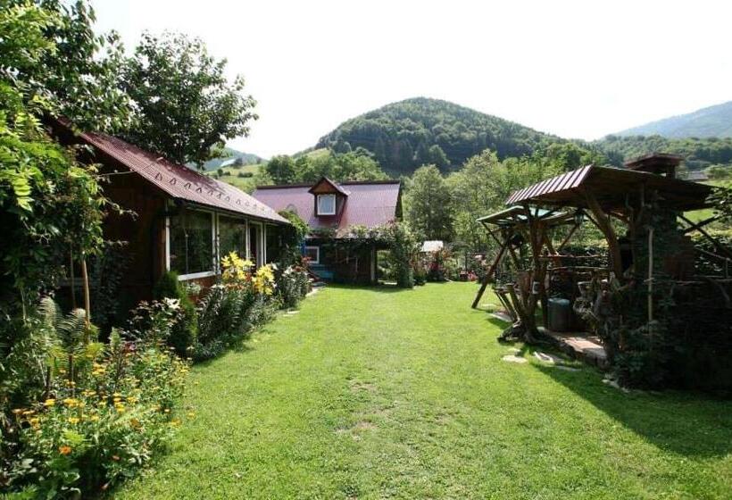 Дом 1 Спальня, Casa De Vacanta Vidrighin