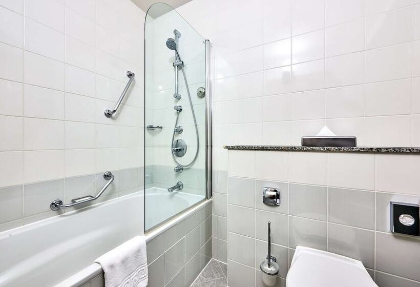 اتاق پرمیوم, Radisson Blu Hotel, Kyiv City Centre