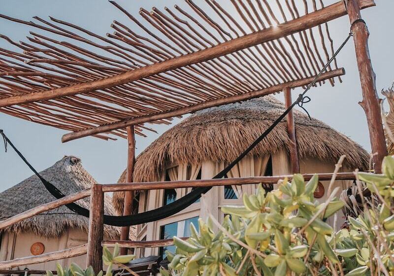 キャビン, Papaya Playa Project