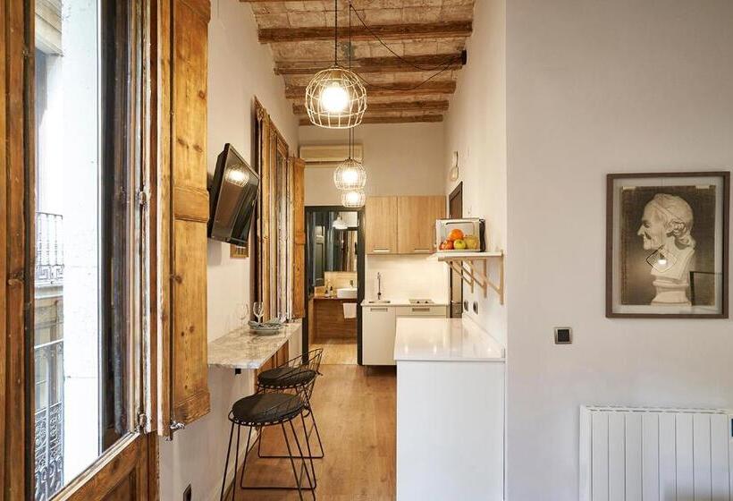 Студия Стандарт, Ainb Gothic Jaume I Apartments