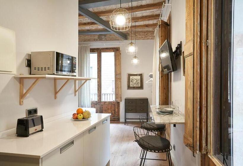 Студия Стандарт, Ainb Gothic Jaume I Apartments