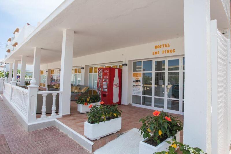 スタンダードシングルルーム, Hostal Los Pinos