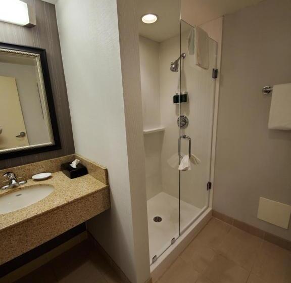 سوئیت با تخت بزرگ, Courtyard By Marriott Hamilton