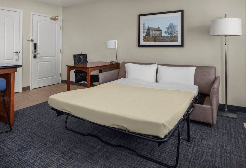 Люкс 2 Спальни, Residence Inn Manassas Battlefield Park