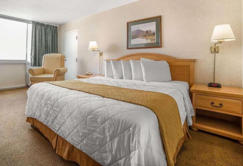 Стандартный Номер Кровать Кинг, Econo Lodge