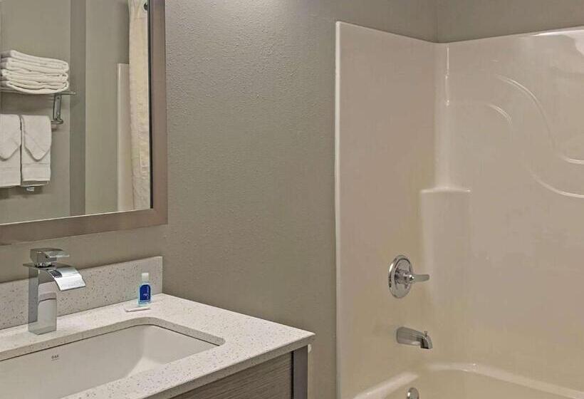 Люкс Кровать Кинг, Quality Inn & Suites Grove Cityoutlet Mall