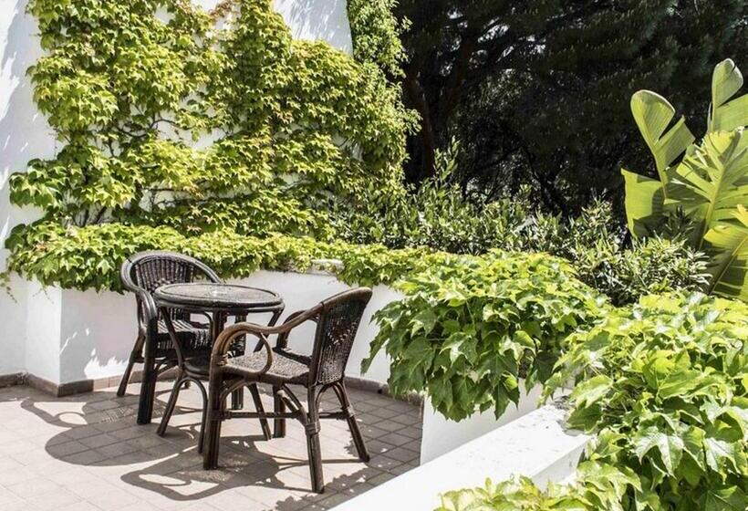 Номер Стандарт, Baia