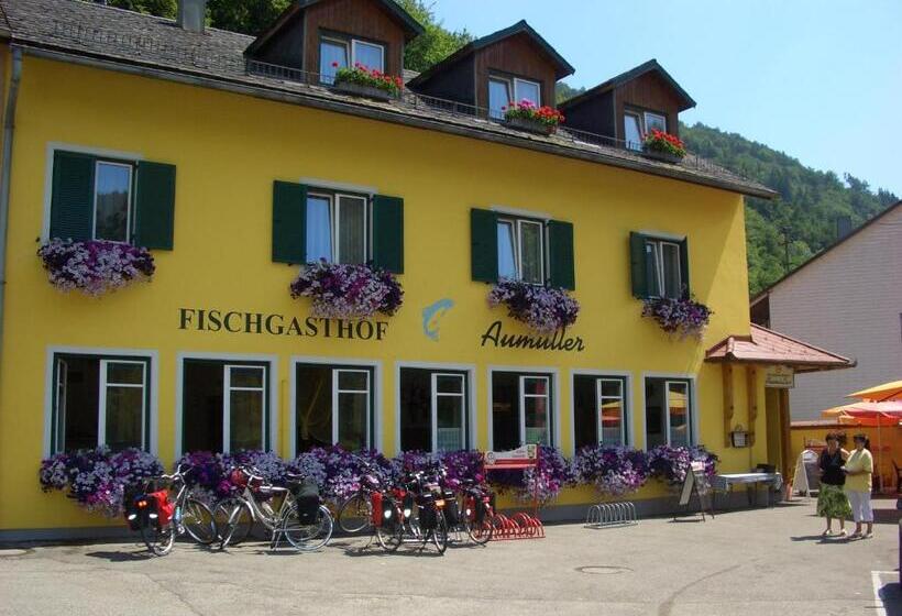 침실 1개 전망 아파트, Fischgasthof Aumüller