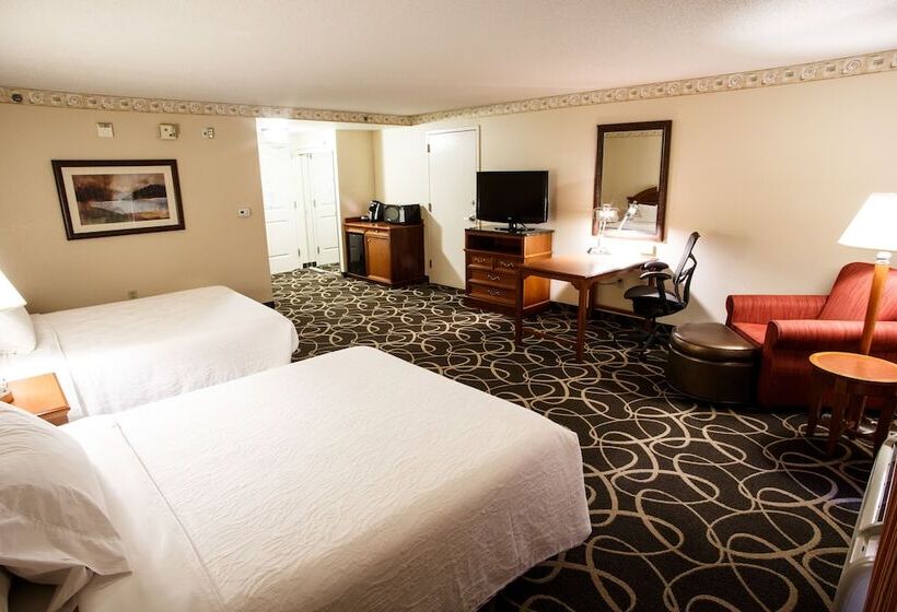 Номер Стандарт Адаптированный для Инвалидов, Hilton Garden Inn Gettysburg