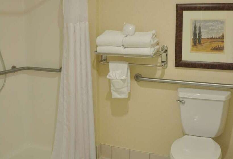 Номер Стандарт Адаптированный для Инвалидов, Hilton Garden Inn Gettysburg