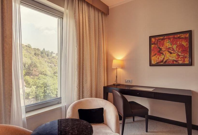 اتاق اجرایی, Grand Hotel River Park, A Luxury Collection Hotel, Bratislava