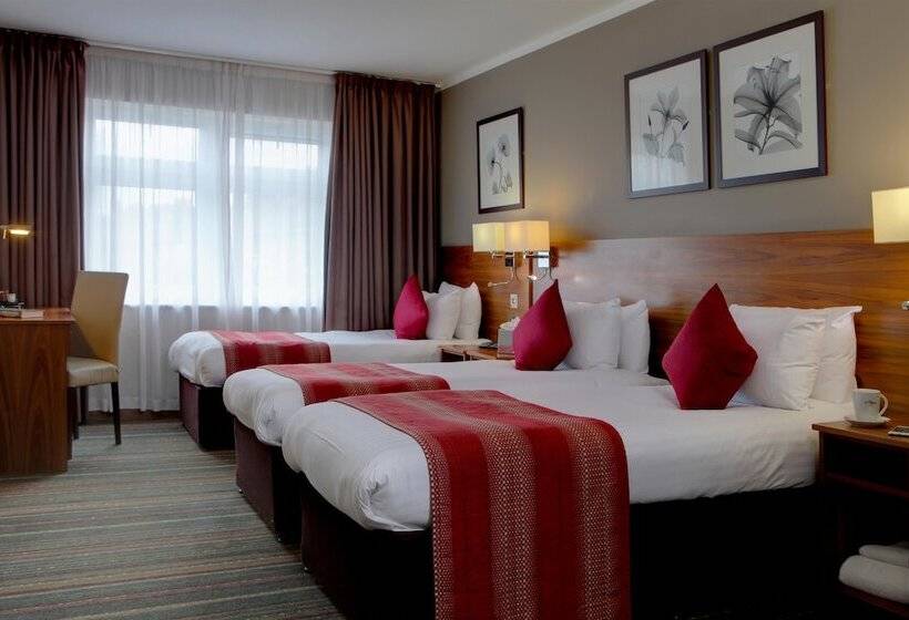 스탠다드 룸, Best Western Palm