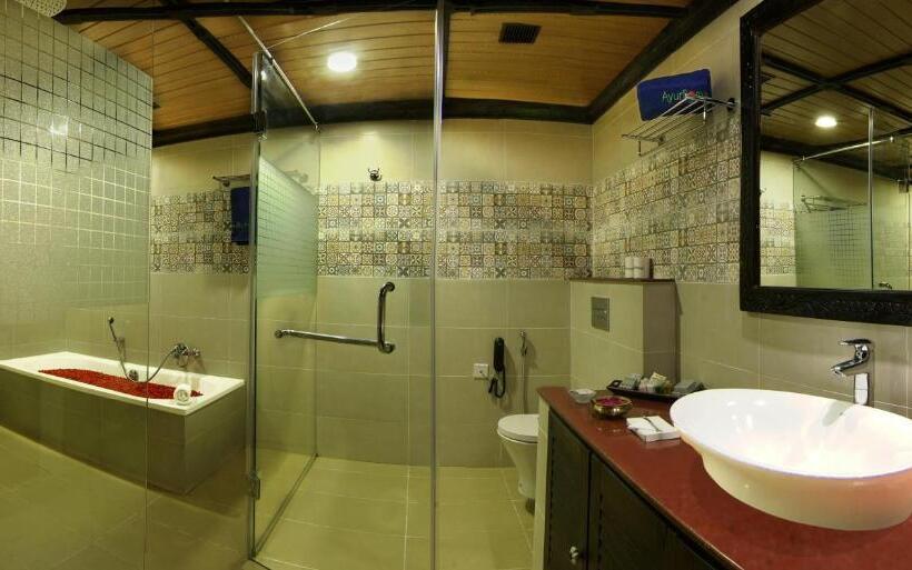 Королевский Полулюкс, Ayursoma Ayurveda Royal Retreat