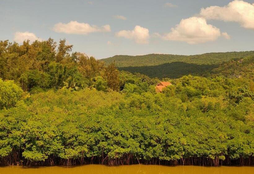 Номер Стандарт Трехместный, Shobha Farmhouse