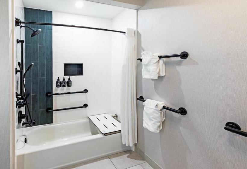 适合残疾人使用的标准间, Indigo Spring   Woodlands Area, An Ihg