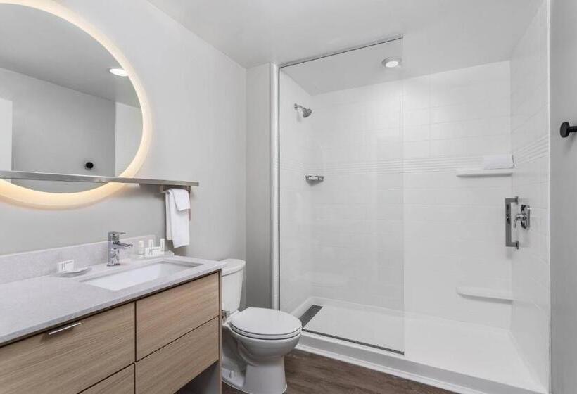 استودیوی استاندارد, Towneplace Suites By Marriott Orlando Southwest Near Universal