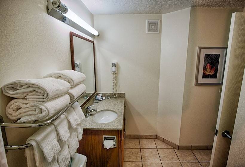 스위트, Candlewood Suites Fargo North Dakota State University, An Ihg