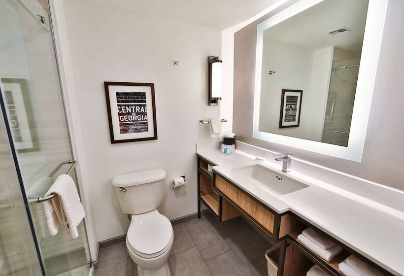 חדר סטנדרט מיטה זוגית, Hilton Garden Inn Savannah Historic District