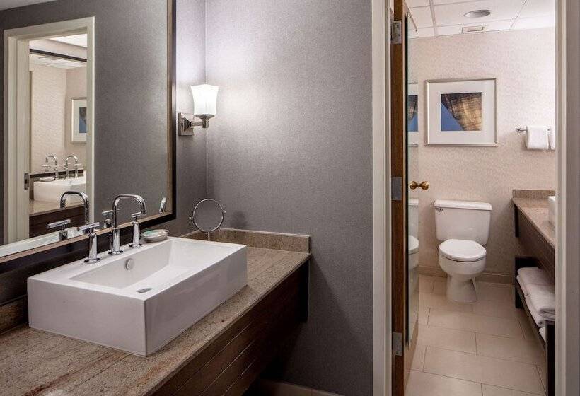 주니어 스위트, Hyatt Regency Saint Louis At The Arch