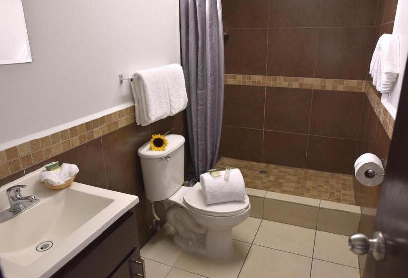 スタンダードルーム, Baja Inn Hoteles La Mesa