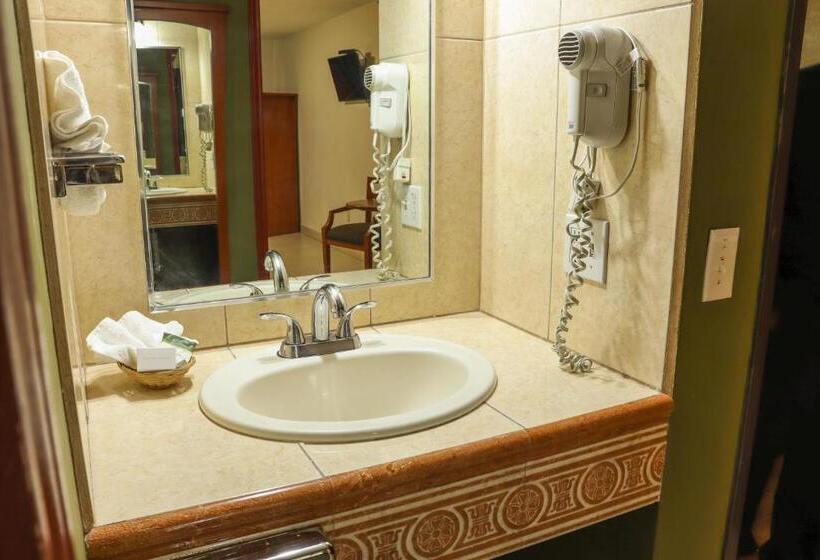 スタンダードルーム, Baja Inn Hoteles La Mesa