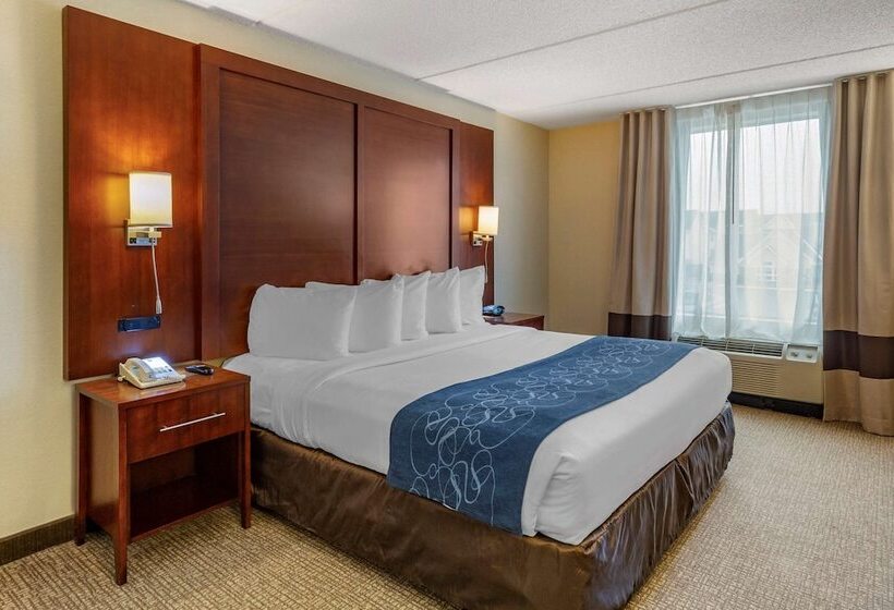 Люкс, Comfort Suites Manassas Battlefield Park