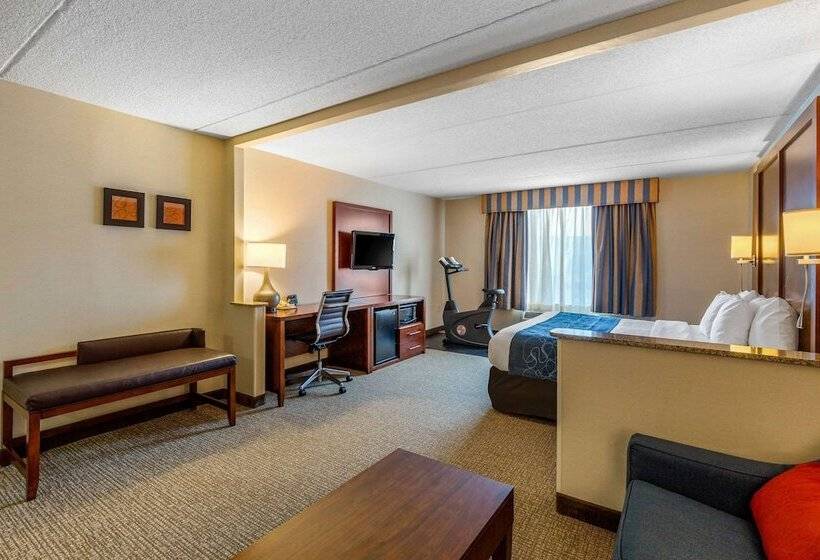 Люкс, Comfort Suites Manassas Battlefield Park