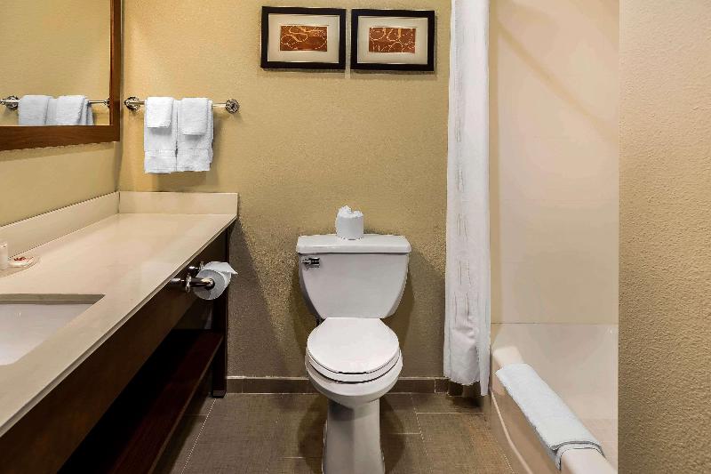 带大床的套房, Comfort Suites San Jose Airport