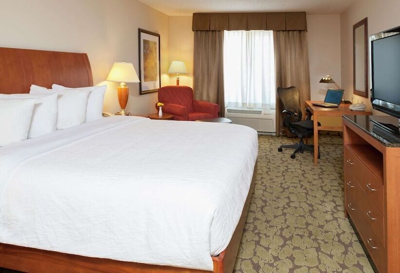 Номер Стандарт, Hilton Garden Inn St. Paul/oakdale