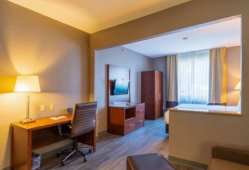 Suite Przystosowany dla Osób Niepełnosprawnych, Quality Suites Ne Indianapolis Fishers