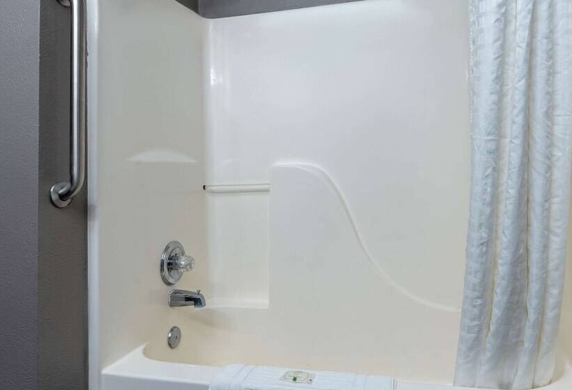 Suite Przystosowany dla Osób Niepełnosprawnych, Quality Suites Ne Indianapolis Fishers
